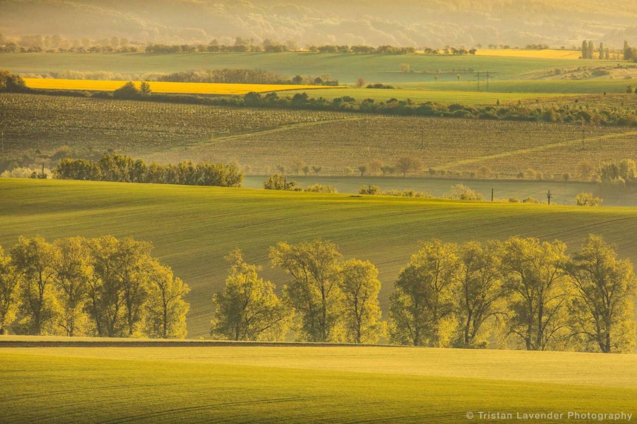 Moravske Toskansko Stavesice Exterior foto